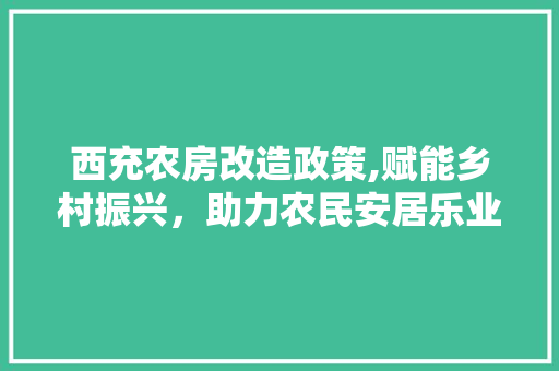 西充农房改造政策,赋能乡村振兴，助力农民安居乐业
