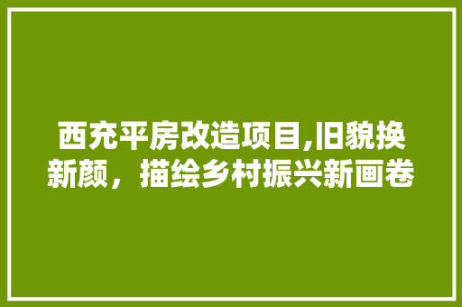 西充平房改造项目,旧貌换新颜，描绘乡村振兴新画卷