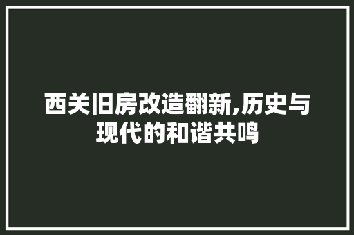 西关旧房改造翻新,历史与现代的和谐共鸣