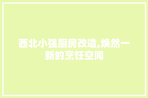 西北小强厨房改造,焕然一新的烹饪空间