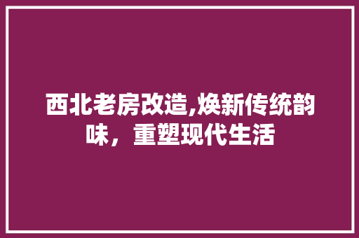 西北老房改造,焕新传统韵味，重塑现代生活
