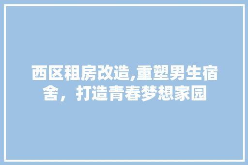 西区租房改造,重塑男生宿舍，打造青春梦想家园