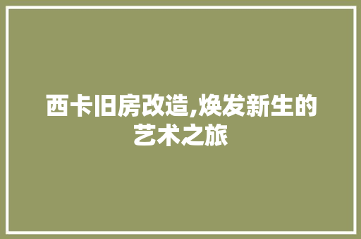 西卡旧房改造,焕发新生的艺术之旅