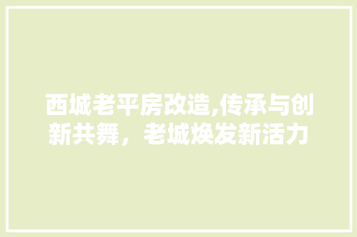 西城老平房改造,传承与创新共舞，老城焕发新活力