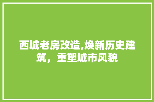 西城老房改造,焕新历史建筑，重塑城市风貌