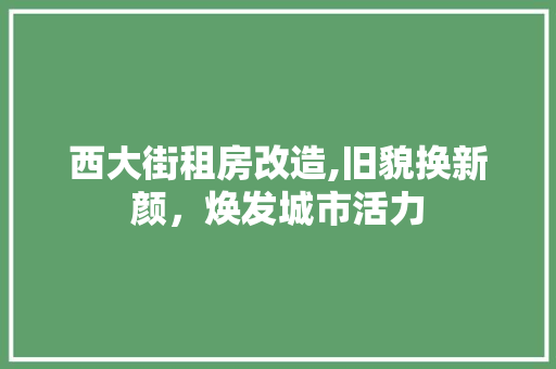 西大街租房改造,旧貌换新颜，焕发城市活力