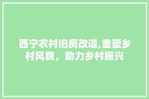 西宁农村旧房改造,重塑乡村风貌，助力乡村振兴