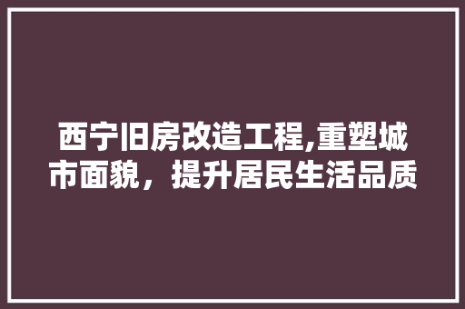 西宁旧房改造工程,重塑城市面貌，提升居民生活品质 家电维修