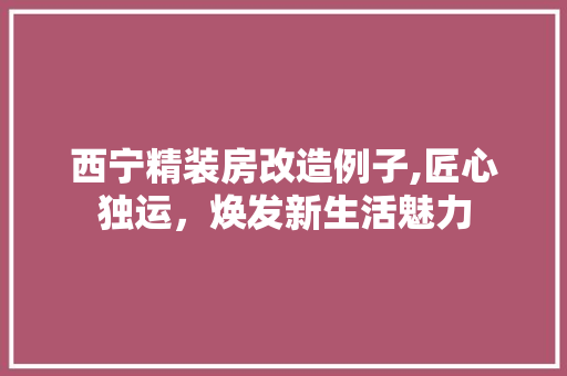 西宁精装房改造例子,匠心独运，焕发新生活魅力 墙体维修