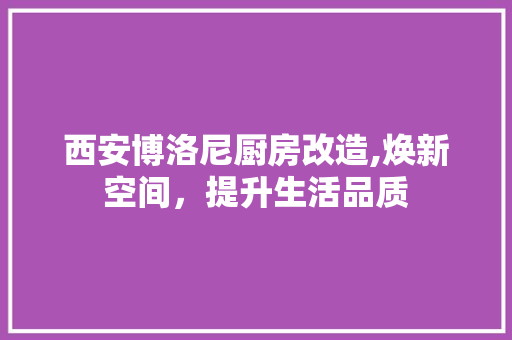 西安博洛尼厨房改造,焕新空间，提升生活品质