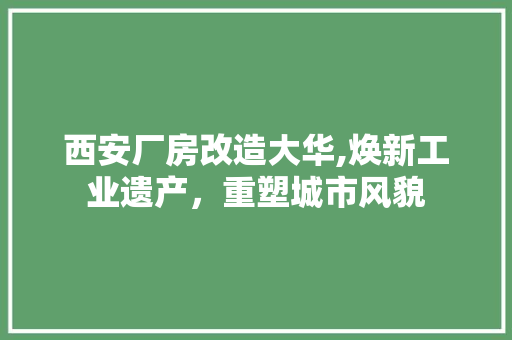 西安厂房改造大华,焕新工业遗产，重塑城市风貌