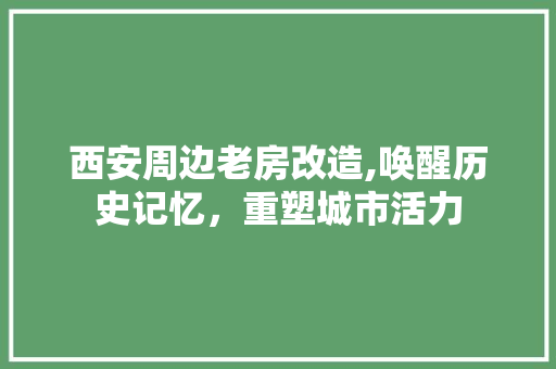 西安周边老房改造,唤醒历史记忆，重塑城市活力