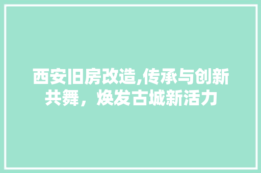 西安旧房改造,传承与创新共舞，焕发古城新活力 综合便民