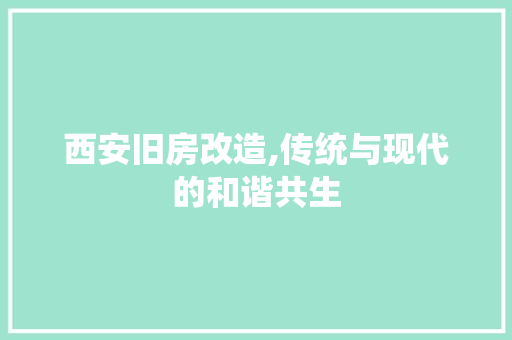 西安旧房改造,传统与现代的和谐共生