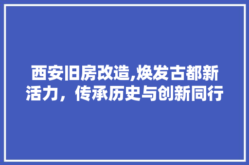 西安旧房改造,焕发古都新活力，传承历史与创新同行