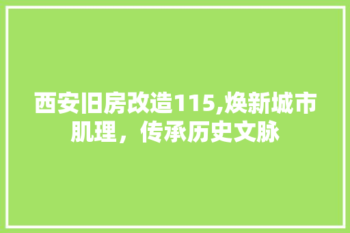 西安旧房改造115,焕新城市肌理，传承历史文脉