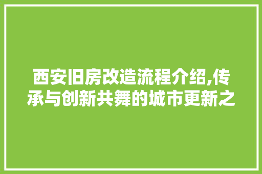 西安旧房改造流程介绍,传承与创新共舞的城市更新之路
