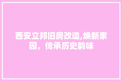 西安立邦旧房改造,焕新家园，传承历史韵味
