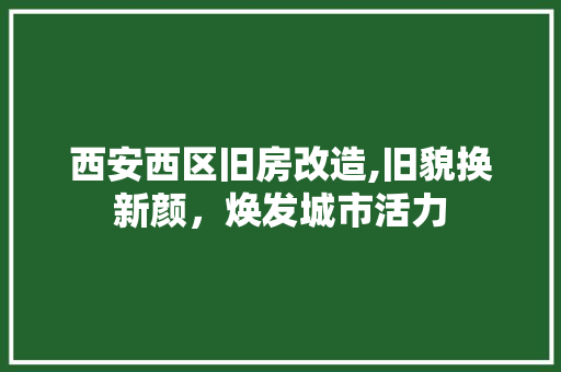 西安西区旧房改造,旧貌换新颜，焕发城市活力