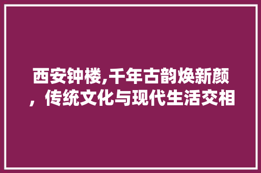 西安钟楼,千年古韵焕新颜，传统文化与现代生活交相辉映