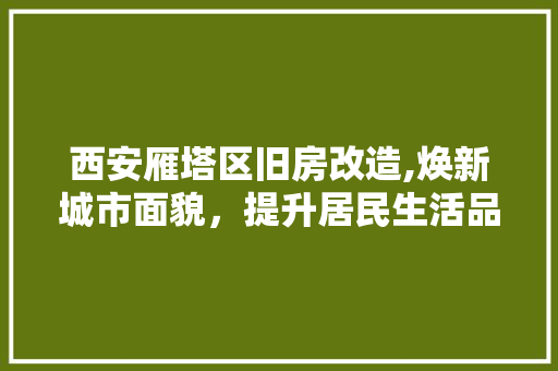西安雁塔区旧房改造,焕新城市面貌，提升居民生活品质