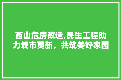 西山危房改造,民生工程助力城市更新，共筑美好家园