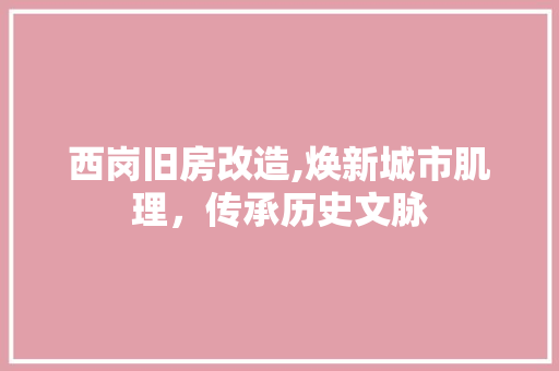 西岗旧房改造,焕新城市肌理，传承历史文脉