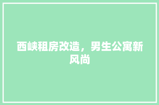 西峡租房改造，男生公寓新风尚