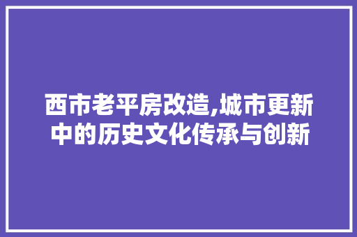 西市老平房改造,城市更新中的历史文化传承与创新
