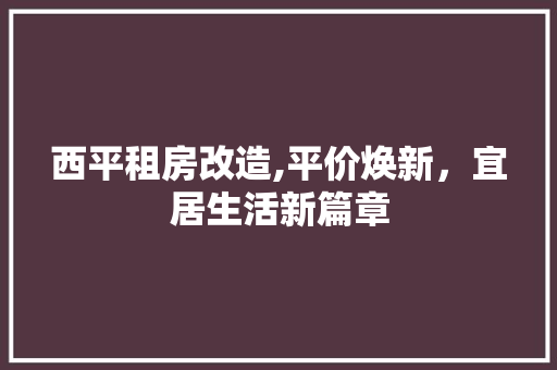 西平租房改造,平价焕新，宜居生活新篇章