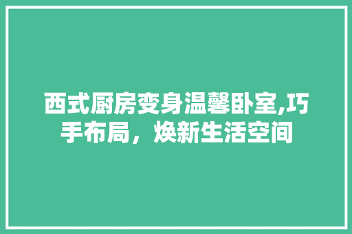 西式厨房变身温馨卧室,巧手布局，焕新生活空间