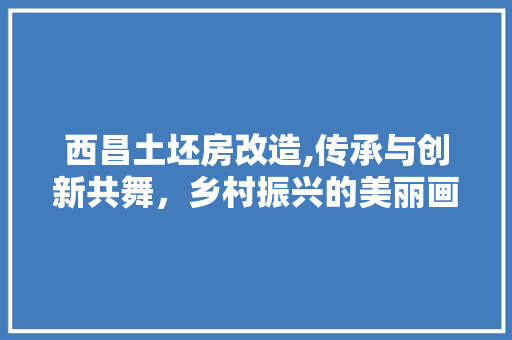 西昌土坯房改造,传承与创新共舞，乡村振兴的美丽画卷