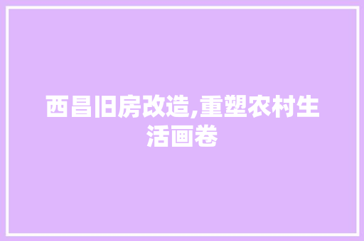 西昌旧房改造,重塑农村生活画卷