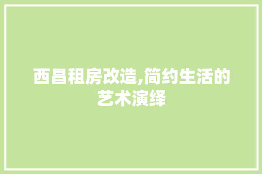 西昌租房改造,简约生活的艺术演绎