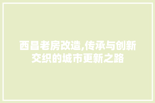 西昌老房改造,传承与创新交织的城市更新之路