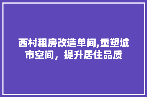 西村租房改造单间,重塑城市空间，提升居住品质