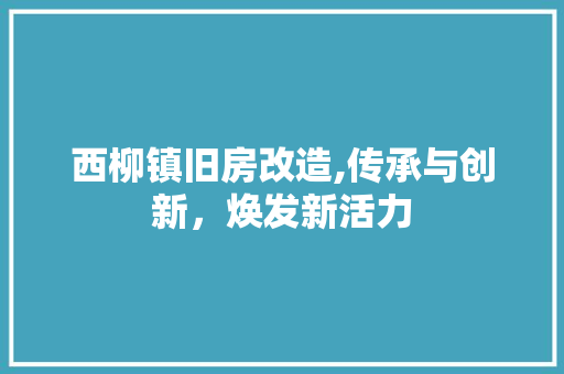 西柳镇旧房改造,传承与创新，焕发新活力