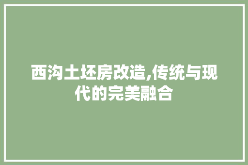 西沟土坯房改造,传统与现代的完美融合