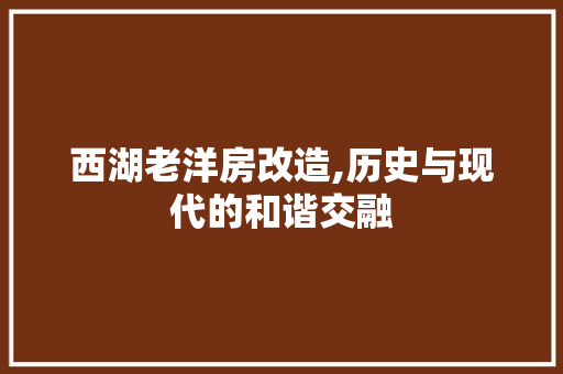 西湖老洋房改造,历史与现代的和谐交融