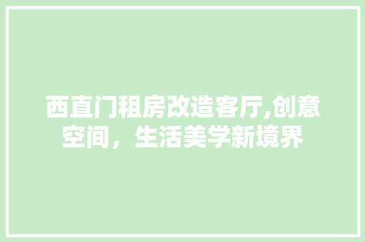 西直门租房改造客厅,创意空间，生活美学新境界