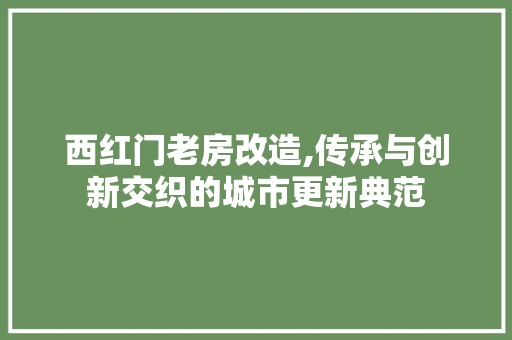 西红门老房改造,传承与创新交织的城市更新典范
