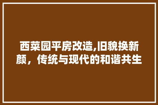 西菜园平房改造,旧貌换新颜，传统与现代的和谐共生
