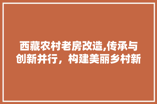 西藏农村老房改造,传承与创新并行，构建美丽乡村新篇章