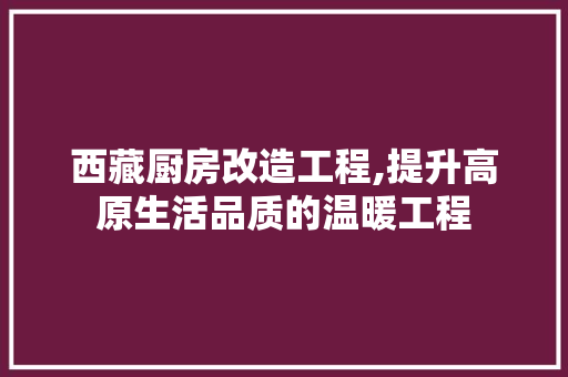 西藏厨房改造工程,提升高原生活品质的温暖工程