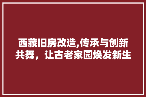 西藏旧房改造,传承与创新共舞，让古老家园焕发新生