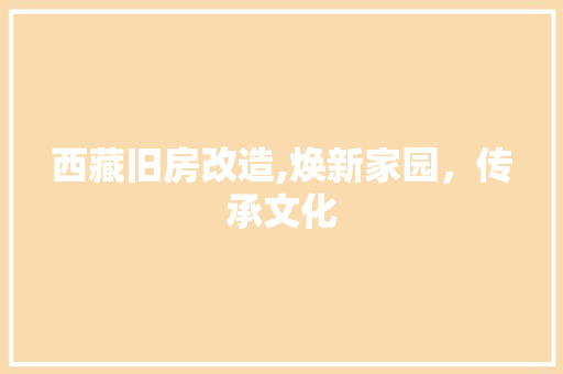 西藏旧房改造,焕新家园，传承文化