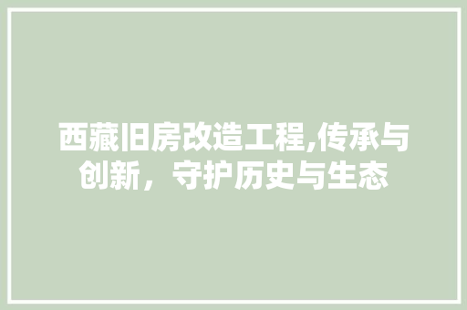 西藏旧房改造工程,传承与创新，守护历史与生态