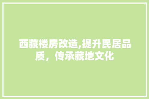 西藏楼房改造,提升民居品质，传承藏地文化