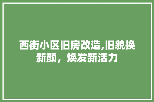 西街小区旧房改造,旧貌换新颜，焕发新活力