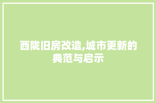 西陇旧房改造,城市更新的典范与启示